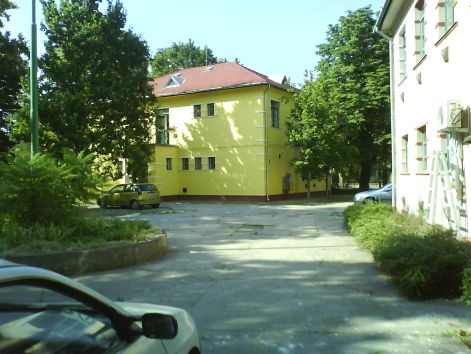 2010_szanetli_046.jpg